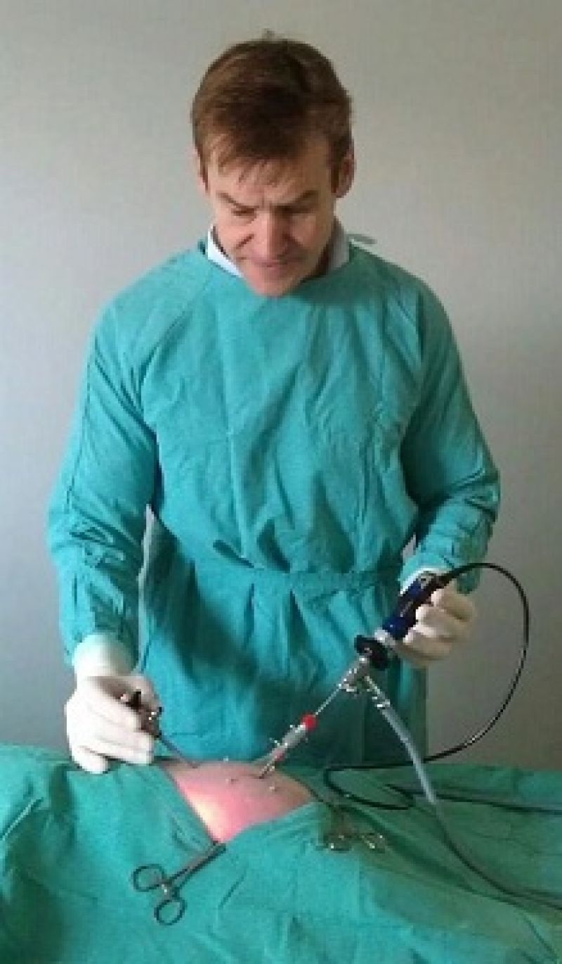 Keyhole bitch spaying in Tring